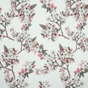 Stretškangas magnooliatega