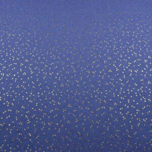 Dressikangas - teksasinine kuldsete tähekestega