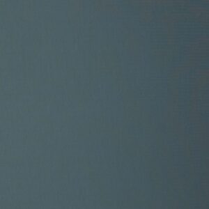 Dressikangas, aasaline - sinakas-hall