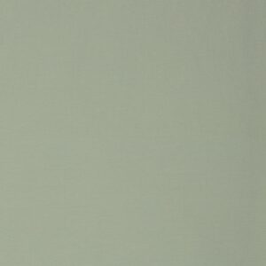 Dressikangas, aasaline - hele mündiroheline