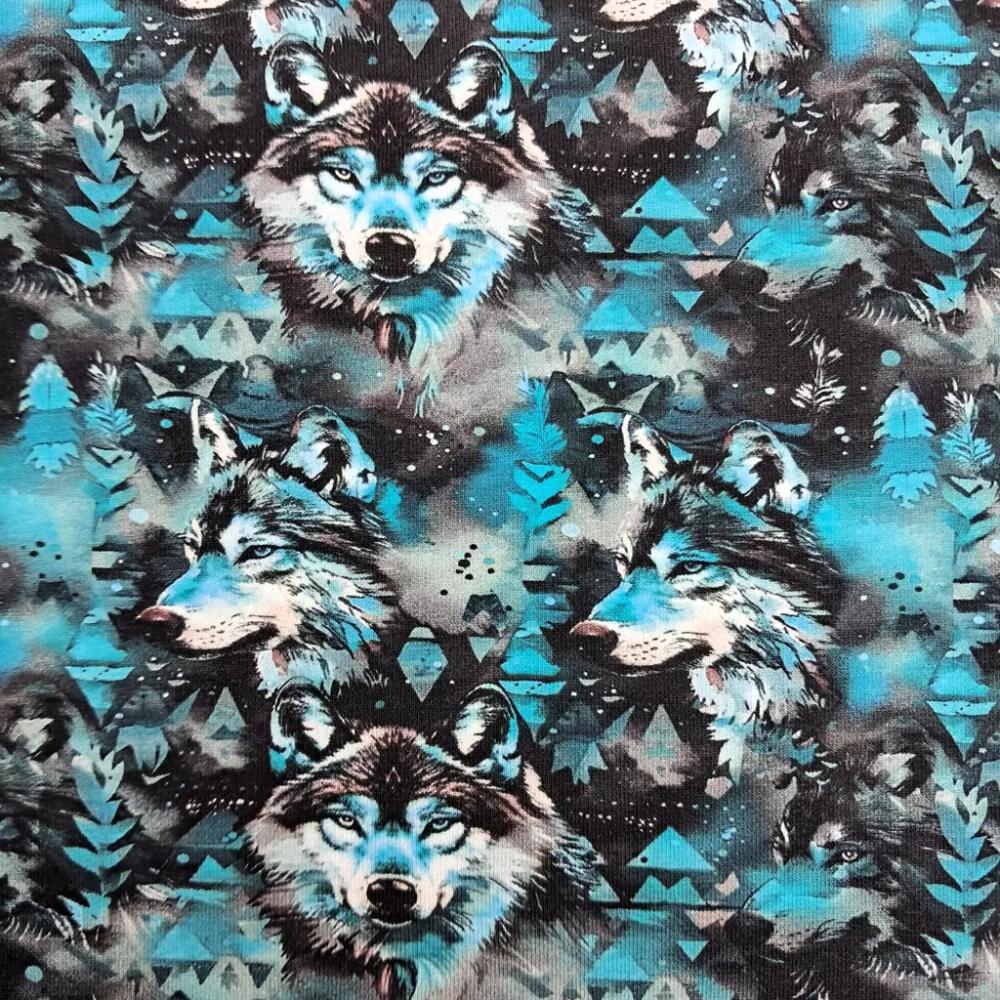 Dressikangas - hundid sinisel