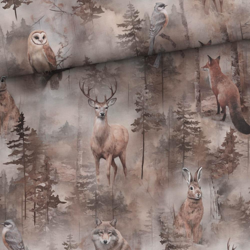 Dressikangas - loomad uduses metsas