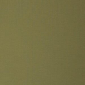 Dressikangas, aasaline - pistaatsiaroheline