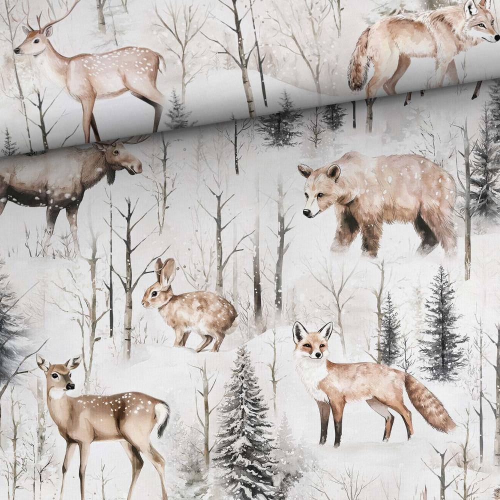 Dressikangas - loomad lumises metsas