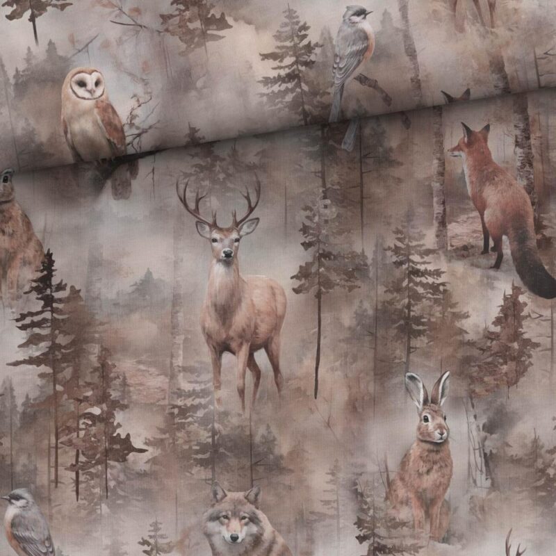 Dressikangas - loomad uduses metsas