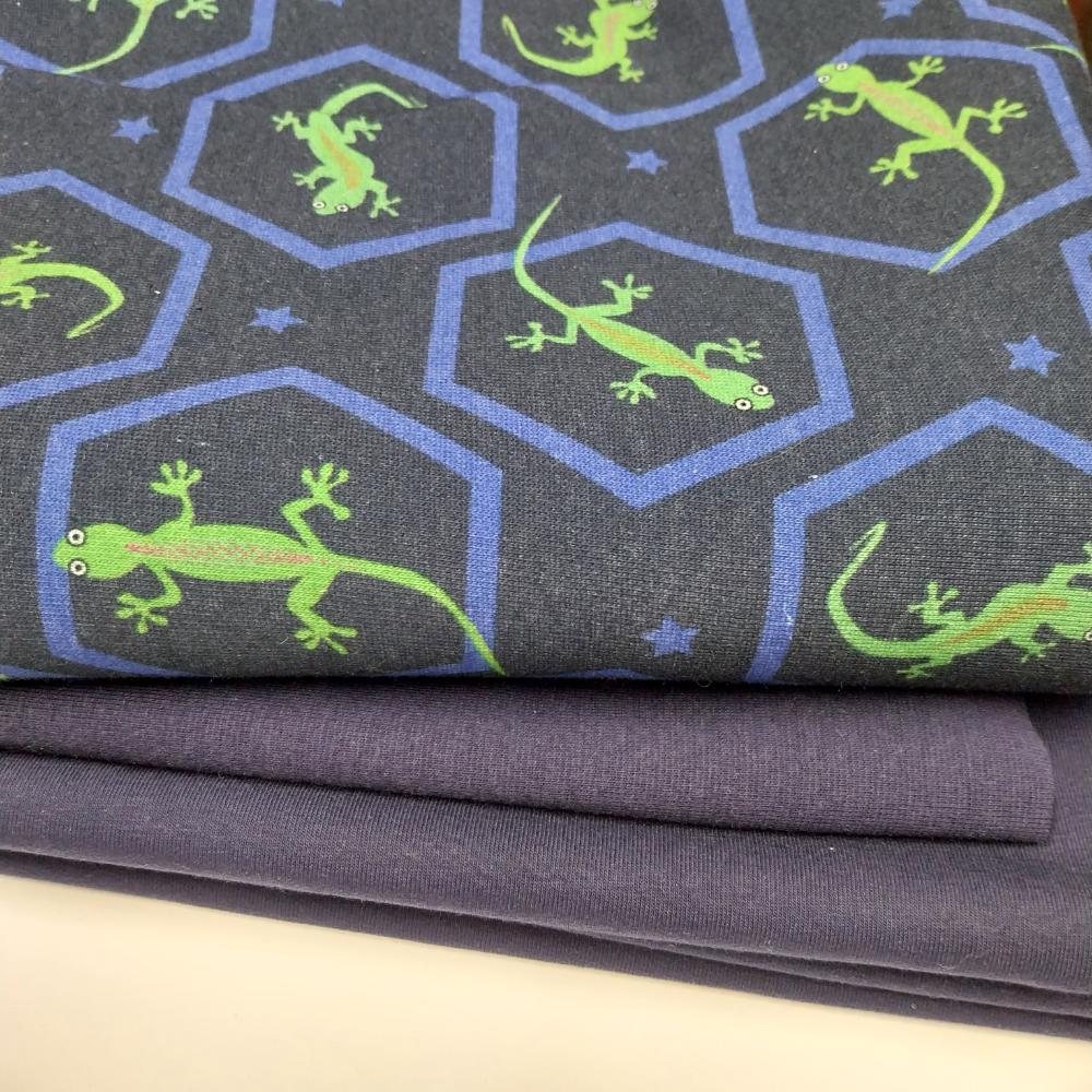 Dressikomplekt sisalikega, 1,68 m