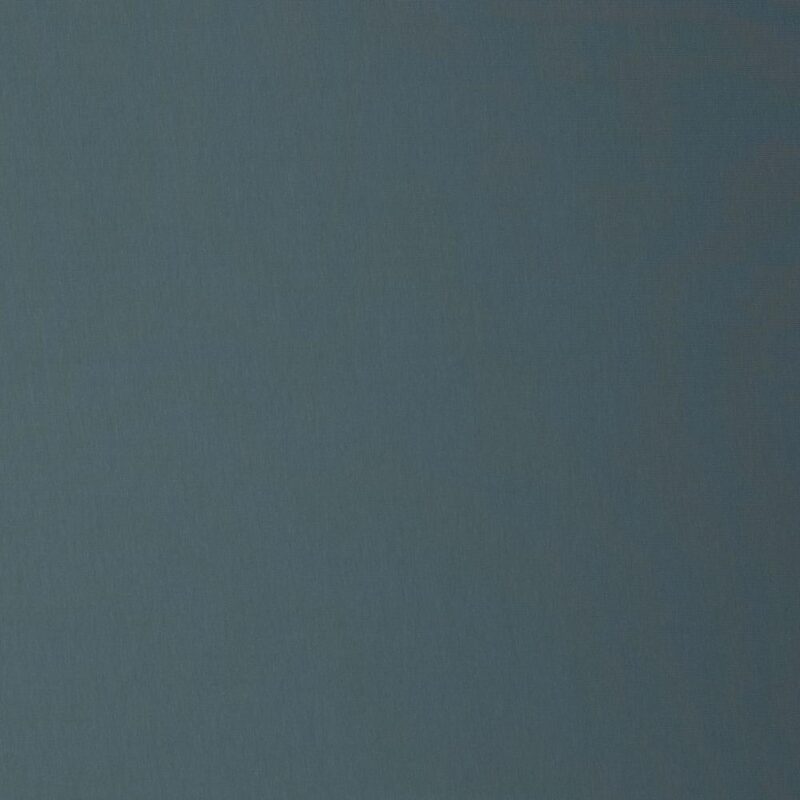 Dressikangas, aasaline - sinakas-hall