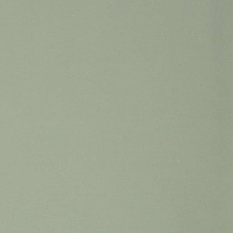 Dressikangas, aasaline - hele mündiroheline