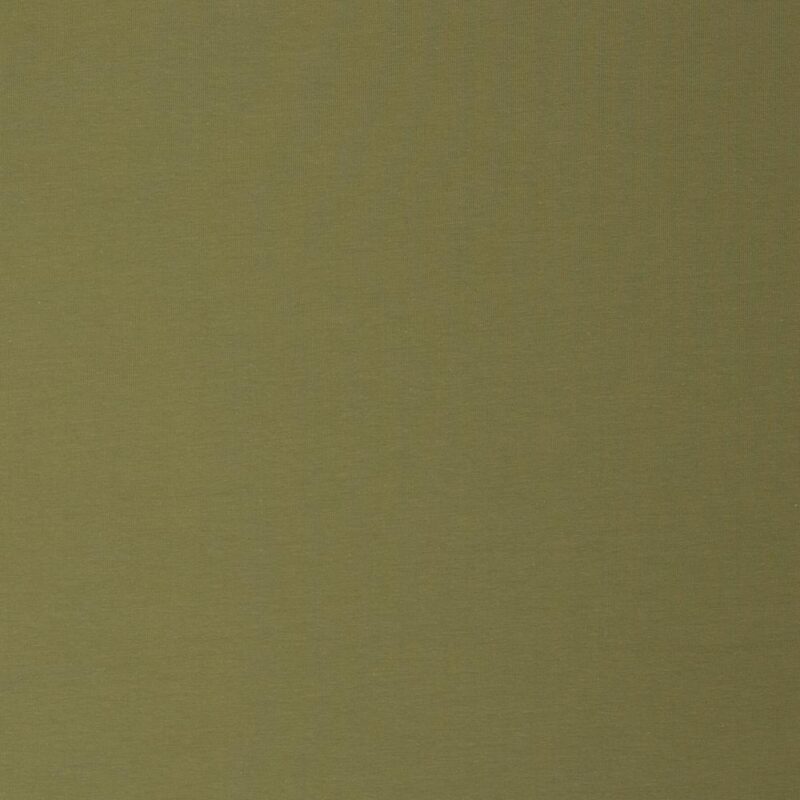 Dressikangas, aasaline - pistaatsiaroheline