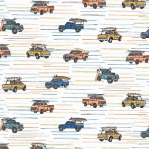 Puuvillapopliin, kastiautodega, valgel