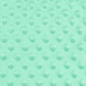 Minky fliis, 215 gr, mündiroheline