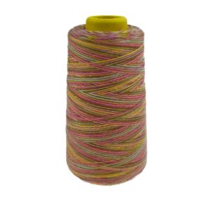 Overloki niit - mitmevärviline, disain A