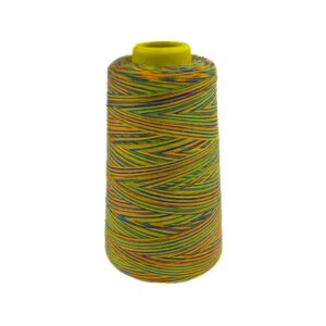 Overloki niit - mitmevärviline, disain B