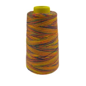 Overloki niit - mitmevärviline, disain D