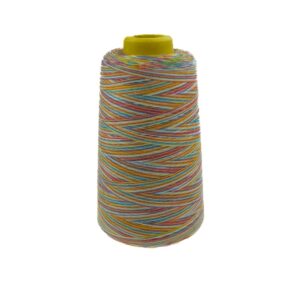 Overloki niit - mitmevärviline, disain L