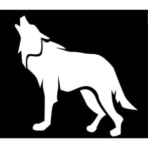 Triigitavad helkurmotiivid, hunt