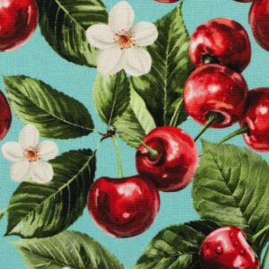 Kanvas - Matteo, kirssidega