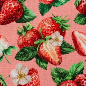 Kanvas - Matteo, maasikatega