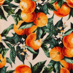 Kanvas - Matteo, apelsinidega