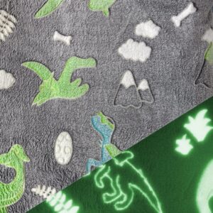 Pimedas helendav fliis - dinosaurused