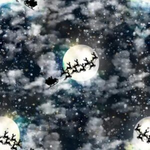 Trikotaaž - jõulupõdrad saaniga