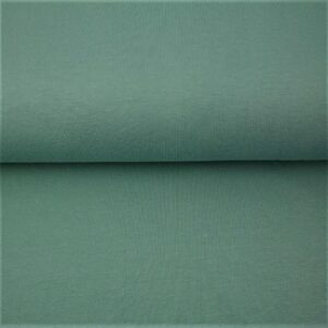 Soonik - 70 cm torus, 1x1/sile, tumedam mündiroheline