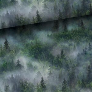 Dressikangas - udune mets