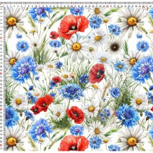 Dressikangas - karikakrad, moonid ja rukkililled